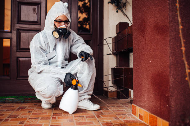 Reliable Bed Bug Control contractor in Mount Vernon, TX by Nex Pest Control